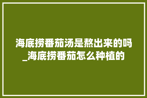 海底捞番茄汤是熬出来的吗_海底捞番茄怎么种植的