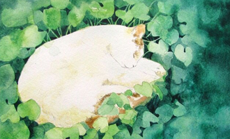 龚先生的插花艺术,传统技艺在现代的传承与创新