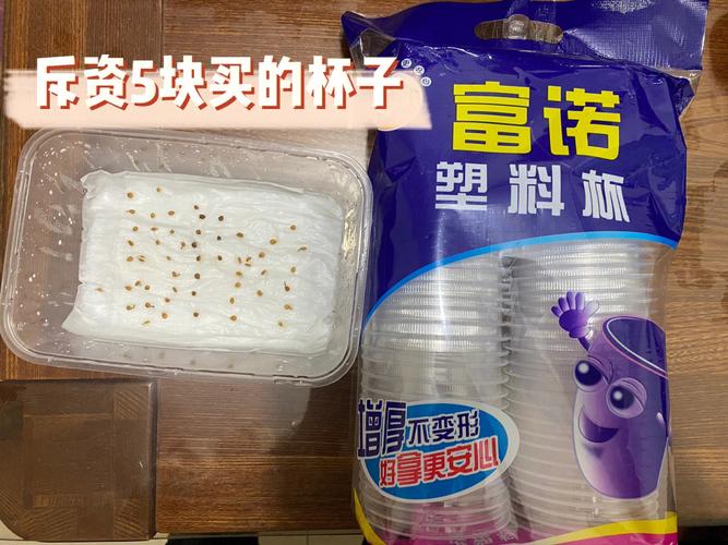 番茄种子怎么种植方法「番茄籽怎么水培种植视频」 番茄种子怎么种植方法「番茄籽怎么水培种植视频」 花朵知识