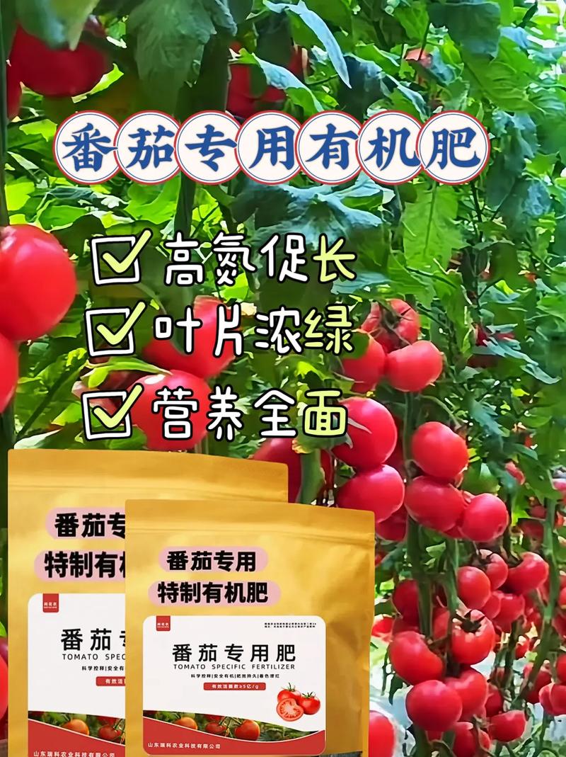 西红柿高产栽培技术「番茄种植高产怎么做肥料」 西红柿高产栽培技术「番茄种植高产怎么做肥料」 花朵知识