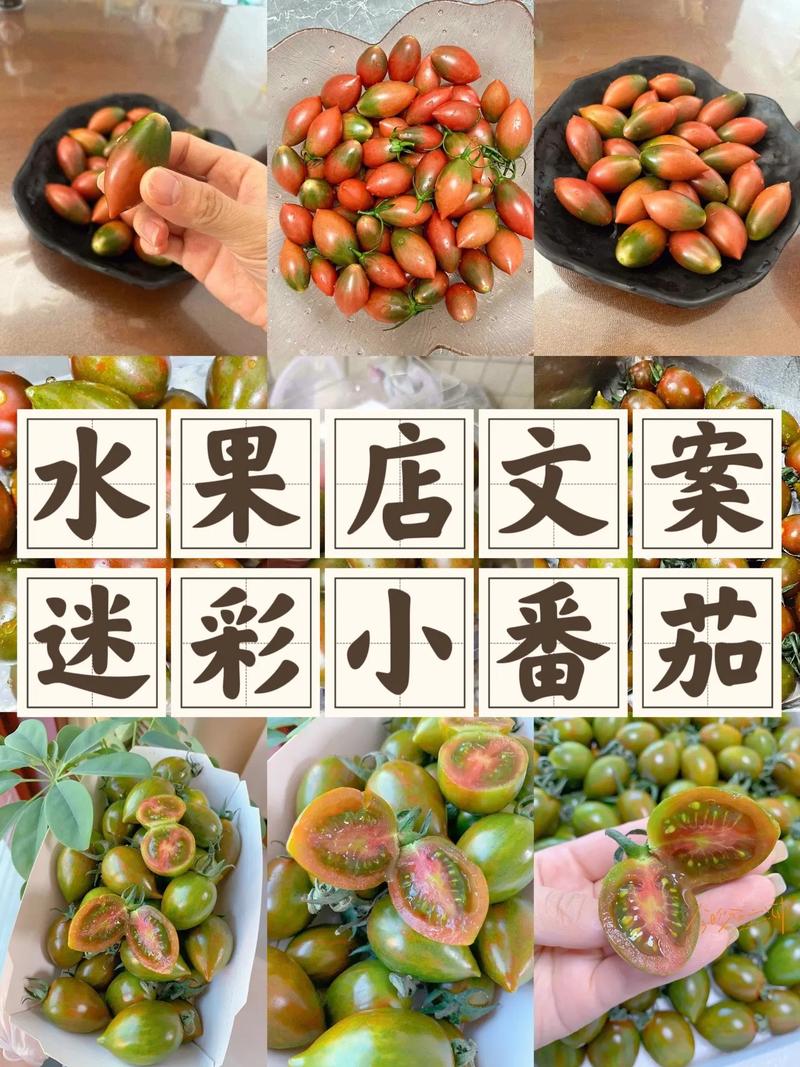 农家西红柿文案「种植番茄怎么形容好吃的句子」 番茄病虫害防治 农家西红柿文案「种植番茄怎么形容好吃的句子」 农家西红柿文案「种植番茄怎么形容好吃的句子」 番茄病虫害防治