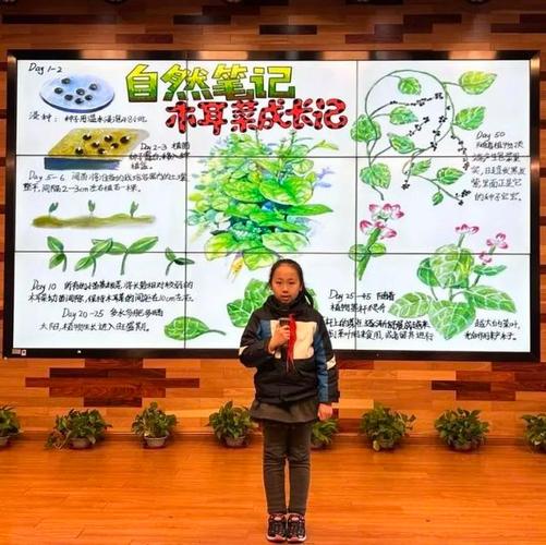 番茄栽培技术的全过程「番茄种植过程怎么画图」 番茄栽培技术的全过程「番茄种植过程怎么画图」 植物种类
