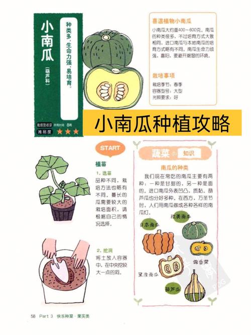 瓜果蔬菜种植技巧「蔬菜种植教程」 瓜果蔬菜种植技巧「蔬菜种植教程」 农业常识