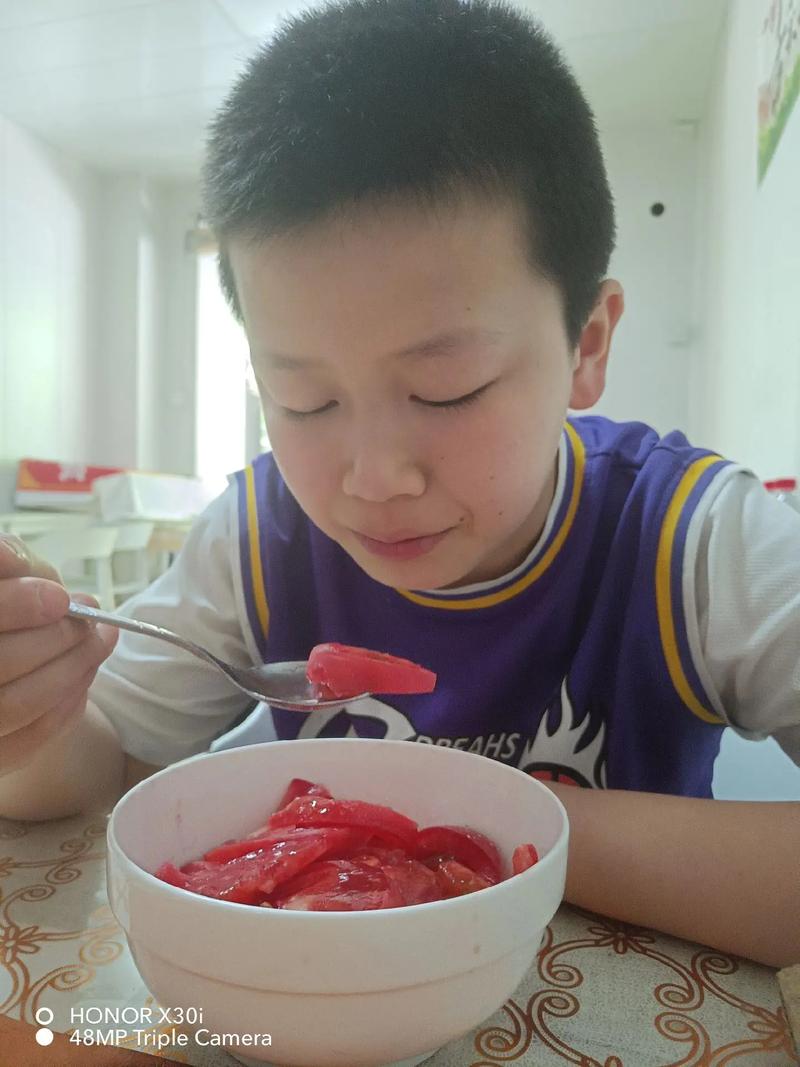 番茄结果过后能浇黄糖水吗「糖水番茄种子怎么种植视频」 番茄结果过后能浇黄糖水吗「糖水番茄种子怎么种植视频」 花朵知识