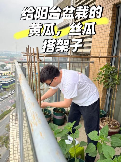 怎样给盆栽丝瓜搭架子「种植番茄怎么搭棚子」 怎样给盆栽丝瓜搭架子「种植番茄怎么搭棚子」 花朵知识
