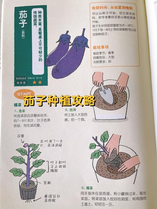 盆栽蔬菜的技术和方法「盆栽蔬菜种植技巧和方法」 盆栽蔬菜的技术和方法「盆栽蔬菜种植技巧和方法」 花朵知识