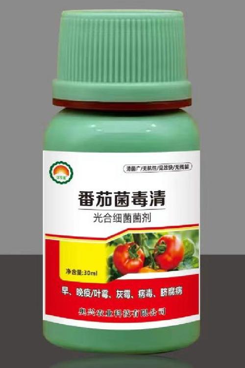 可以给西红柿喷醋吗「番茄杀菌用什么药」 可以给西红柿喷醋吗「番茄杀菌用什么药」 番茄种植技巧