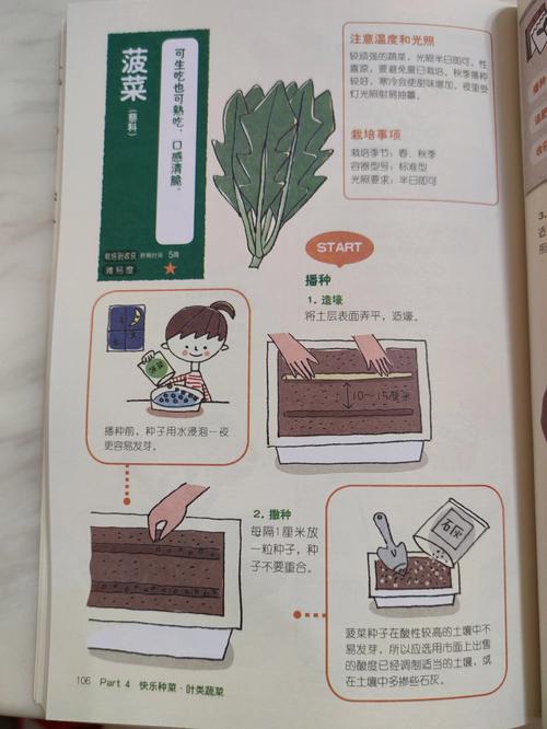 山西种植菠菜的季节「山西省秋冬蔬菜种植技巧和方法」 山西种植菠菜的季节「山西省秋冬蔬菜种植技巧和方法」 花朵知识