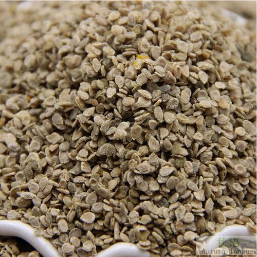 蕃茄种孑都有哪几种「罐装小番茄种子怎么种植的」 蕃茄种孑都有哪几种「罐装小番茄种子怎么种植的」 种植技巧