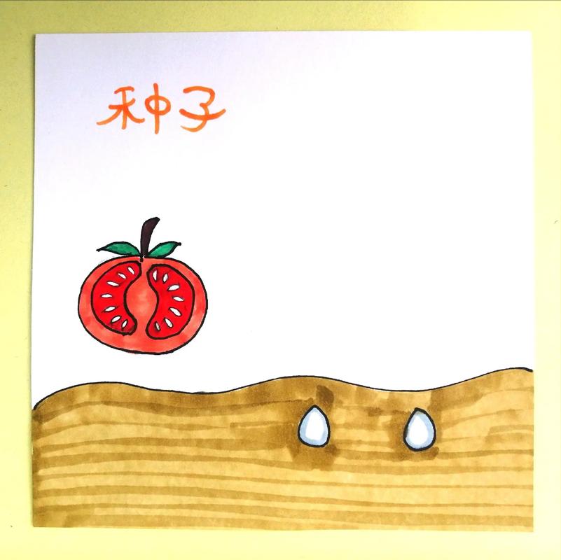 西红柿种子种植技术「小番茄种子种植怎么种」 西红柿种子种植技术「小番茄种子种植怎么种」 番茄病虫害防治