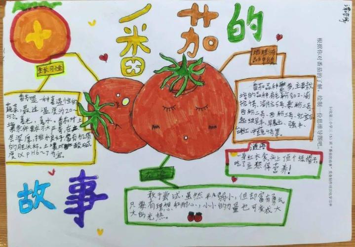 思维导图自学用哪一本教材比较好？请确切看过的大神推荐一些，谢谢「怎么种植小番茄简笔画图片」 思维导图自学用哪一本教材比较好？请确切看过的大神推荐一些，谢谢「怎么种植小番茄简笔画图片」 花朵知识