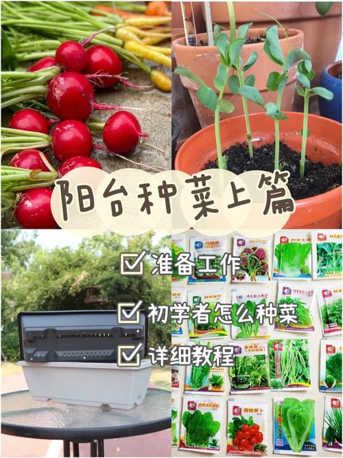 挖机学徒怎么学「蔬菜种植收徒技巧视频教程」 挖机学徒怎么学「蔬菜种植收徒技巧视频教程」 植物种类