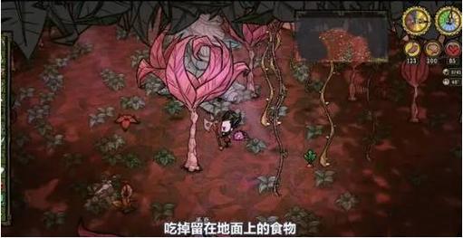 饥荒哈姆雷特藤蔓怎么获得啊「饥荒番茄藤蔓怎么种植的」 饥荒哈姆雷特藤蔓怎么获得啊「饥荒番茄藤蔓怎么种植的」 植物种类