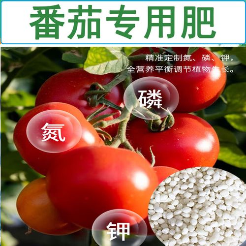 栽植西红柿用啥底肥「番茄种植基肥怎么施肥」 栽植西红柿用啥底肥「番茄种植基肥怎么施肥」 土壤施肥