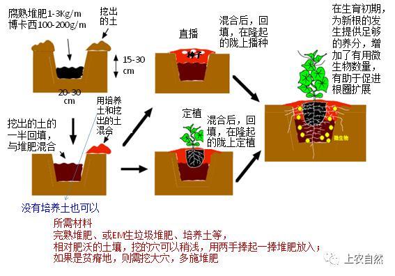 西红柿怎样施底肥？如果用有机肥应该用多少「种植番茄低肥怎么办」 西红柿怎样施底肥？如果用有机肥应该用多少「种植番茄低肥怎么办」 土壤施肥