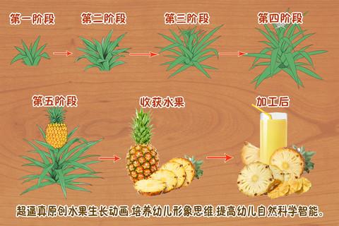 哪些水果蔬菜种植简单，易成活，很快结果的「家庭水果蔬菜种植小技巧视频」 哪些水果蔬菜种植简单，易成活，很快结果的「家庭水果蔬菜种植小技巧视频」 土壤施肥