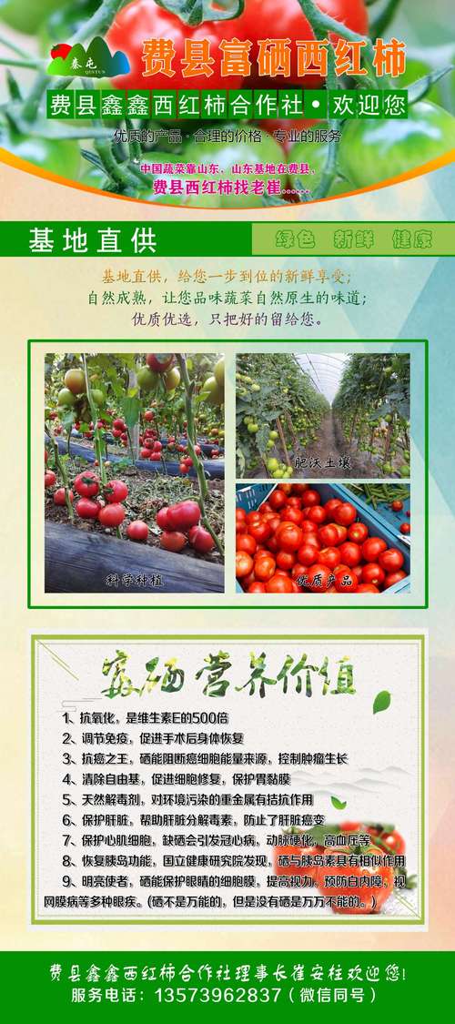 西红柿开花结果的文案「种植番茄收获文案怎么写好」 西红柿开花结果的文案「种植番茄收获文案怎么写好」 番茄种植技巧
