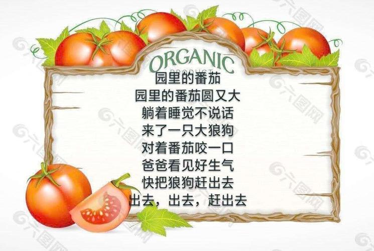 田里的番茄圆又大儿歌「番茄怎么种植又大又圆的」 田里的番茄圆又大儿歌「番茄怎么种植又大又圆的」 番茄种植技巧