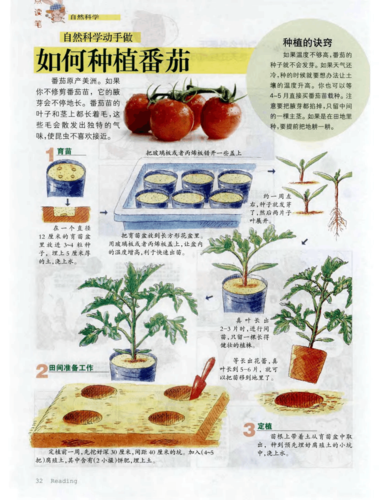 番茄小说的介绍视频怎么申请「播种番茄怎么种植视频教程」 花朵知识 番茄小说的介绍视频怎么申请「播种番茄怎么种植视频教程」 番茄小说的介绍视频怎么申请「播种番茄怎么种植视频教程」 花朵知识