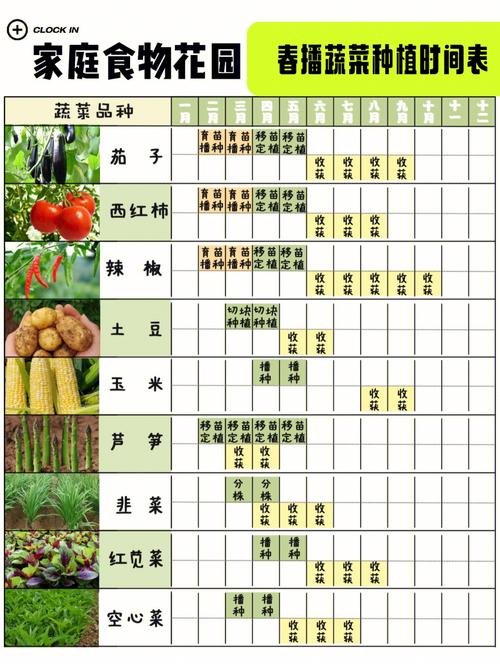 河南各种蔬菜种植的时间「河南蔬菜种植技巧讲解视频」 河南各种蔬菜种植的时间「河南蔬菜种植技巧讲解视频」 农业常识