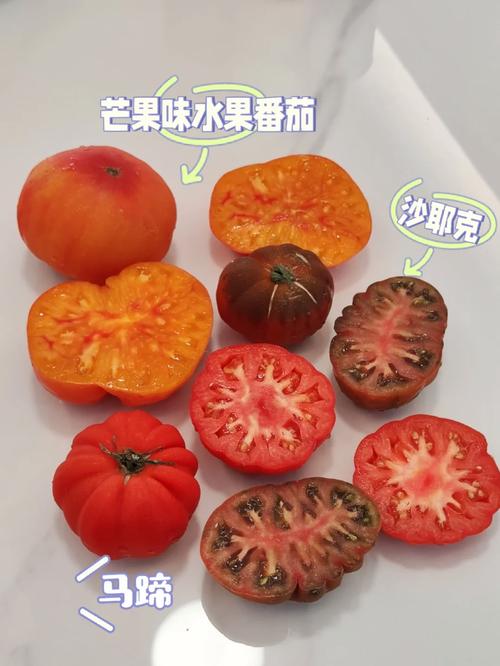 香蕉西红柿芒果能一起榨汁吗「芒果番茄怎么种植方法视频」 香蕉西红柿芒果能一起榨汁吗「芒果番茄怎么种植方法视频」 番茄病虫害防治