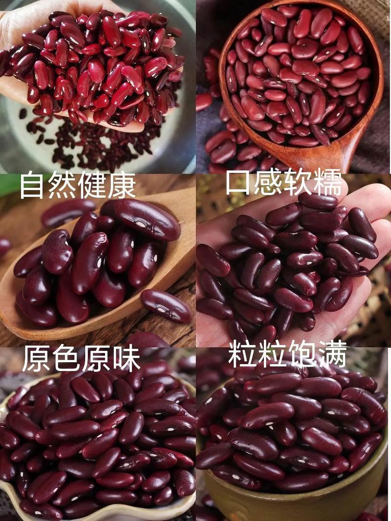 香芋红腰豆最正宗的做法「红豆怎么种植小番茄苗子视频」 香芋红腰豆最正宗的做法「红豆怎么种植小番茄苗子视频」 花朵知识
