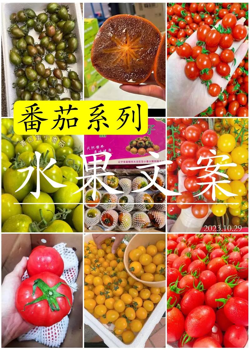 儿子种的西红柿熟了的文案「番茄种植文案怎么写范文大全」 儿子种的西红柿熟了的文案「番茄种植文案怎么写范文大全」 农业常识