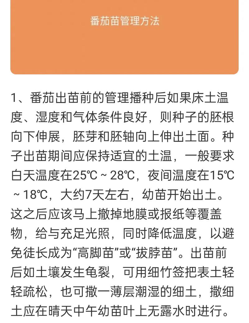 西红柿什么时候种最好「牛奶番茄要怎么种植视频教程」 西红柿什么时候种最好「牛奶番茄要怎么种植视频教程」 花朵知识