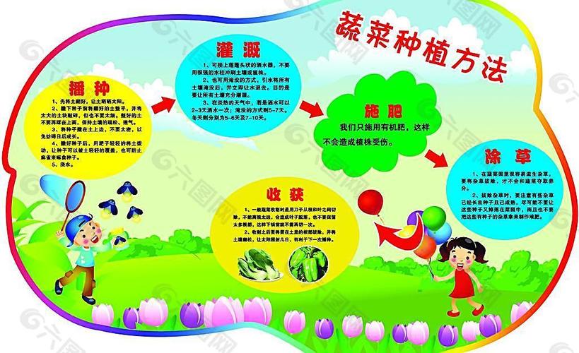 承包了100亩土地种植蔬菜，要怎么管理「生态蔬菜种植小技巧图片大全」 承包了100亩土地种植蔬菜，要怎么管理「生态蔬菜种植小技巧图片大全」 花朵知识