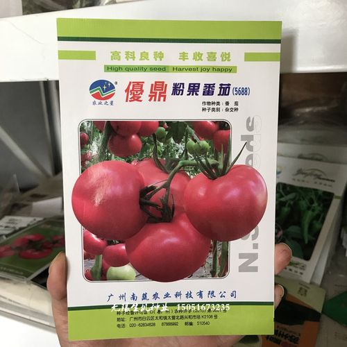 在辽宁省铁岭市地区种植粉果番茄，哪些品种比较合适「番茄种子贝瑞怎么种植的」 在辽宁省铁岭市地区种植粉果番茄，哪些品种比较合适「番茄种子贝瑞怎么种植的」 番茄病虫害防治