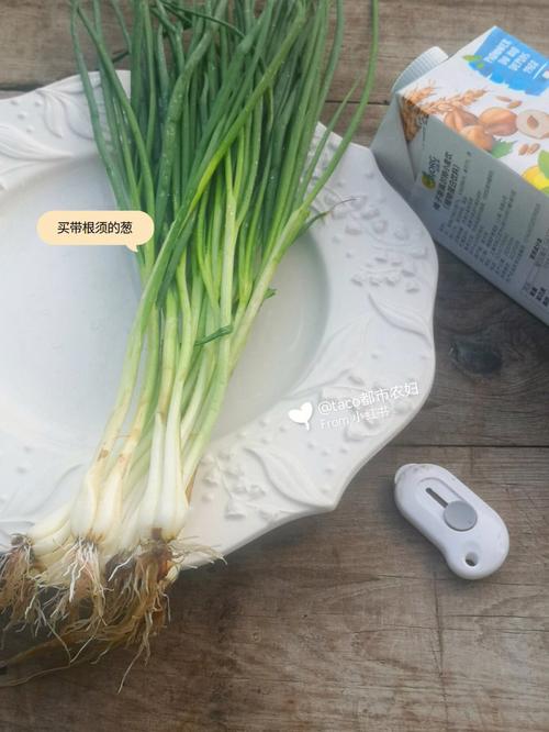 农村大面积小香葱的种植技术有哪些「蔬菜种植小技巧小视频教程」 农村大面积小香葱的种植技术有哪些「蔬菜种植小技巧小视频教程」 种植技巧