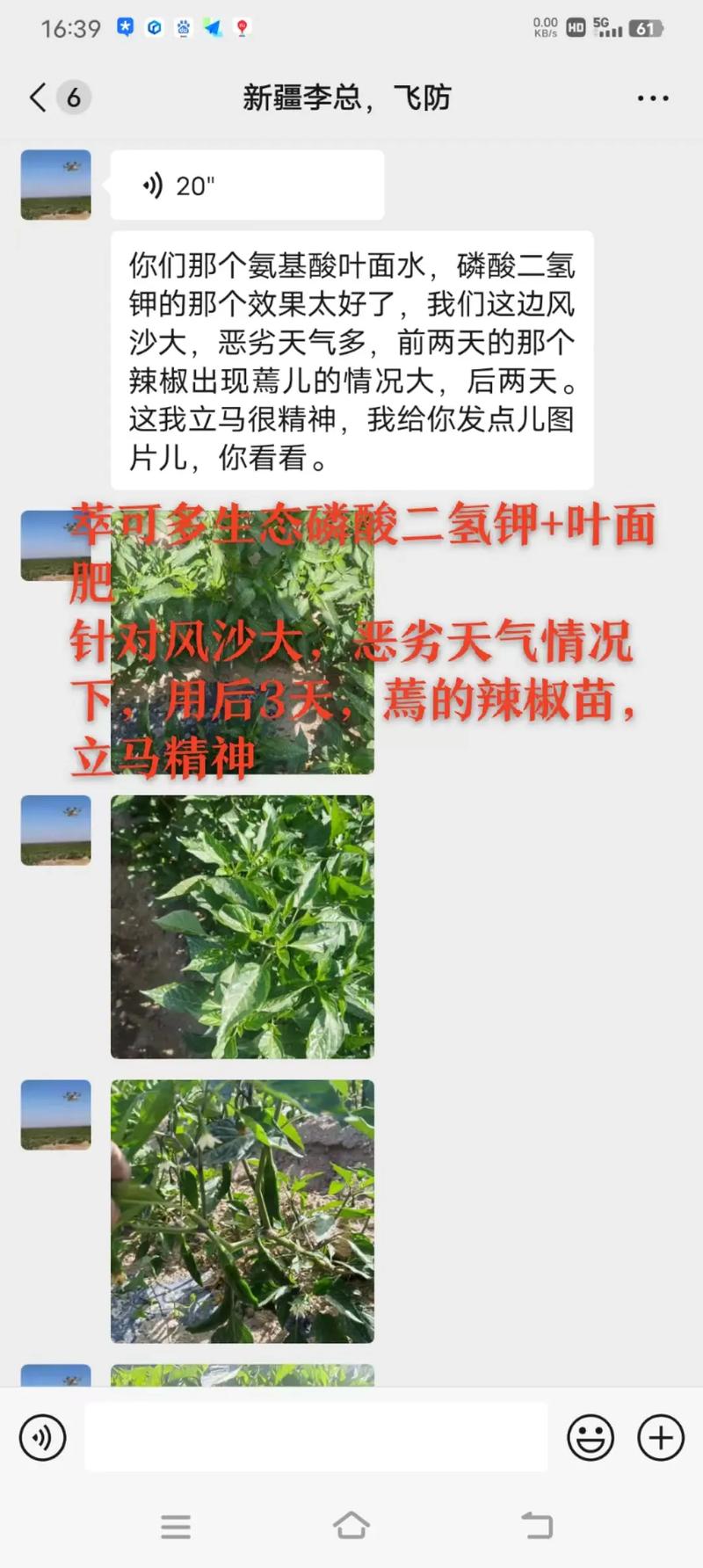 磷酸二氢钾是如何让作物增产的呢「山楂怎么种植小番茄视频教程」 磷酸二氢钾是如何让作物增产的呢「山楂怎么种植小番茄视频教程」 花朵知识