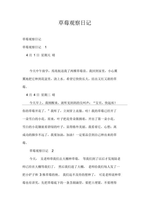草莓莳植本领小门生作文,草莓莳植过程日记。 草莓莳植本领小门生作文,草莓莳植过程日记。 种植技巧
