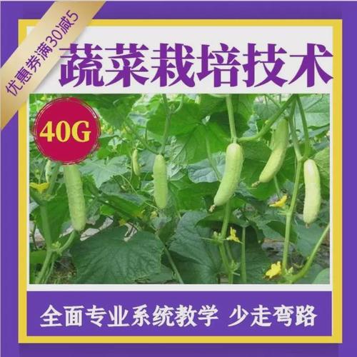 个体蔬菜店经营模式「蔬菜种植好技巧视频讲解大全」 个体蔬菜店经营模式「蔬菜种植好技巧视频讲解大全」 种植技巧