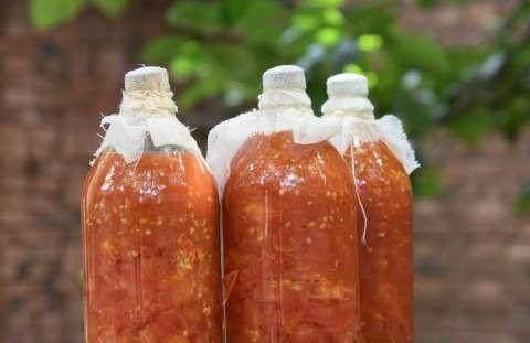 用啤酒瓶装西红柿酱的办法「饮料瓶种植番茄怎么种植的」 用啤酒瓶装西红柿酱的办法「饮料瓶种植番茄怎么种植的」 土壤施肥