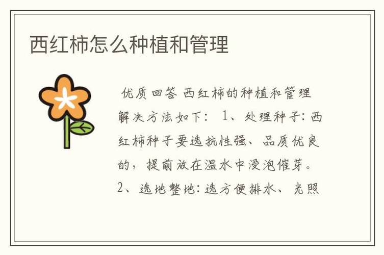 西红柿的管理方法「番茄种植怎么管理好」 西红柿的管理方法「番茄种植怎么管理好」 植物种类