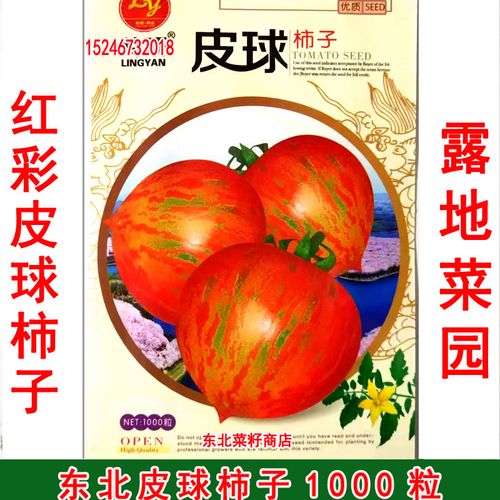 请问番茄上的花纹是什么?为什么会长这样的花纹「带花纹番茄种子怎么种植的」 请问番茄上的花纹是什么?为什么会长这样的花纹「带花纹番茄种子怎么种植的」 花朵知识