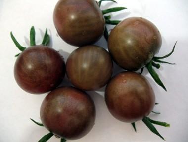 西红柿怎么腌制「水瓶种矮脚番茄怎么种植视频」 西红柿怎么腌制「水瓶种矮脚番茄怎么种植视频」 种植技巧