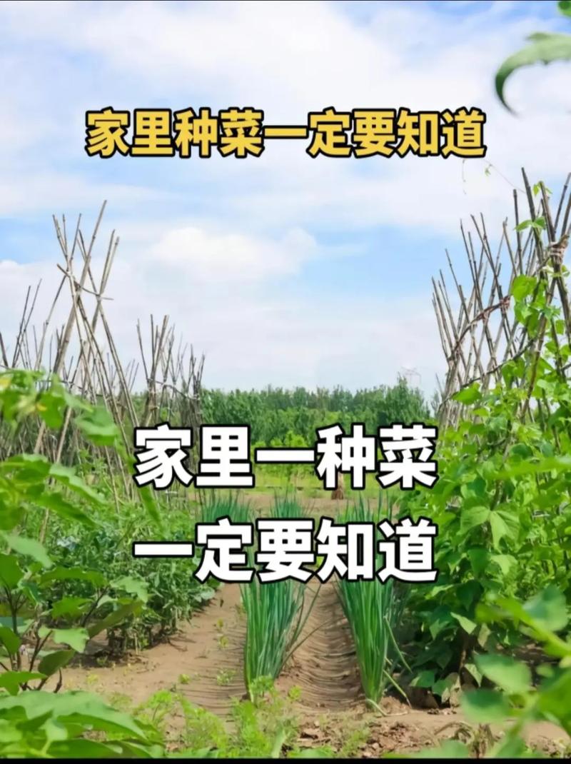 农业产业化成大趋势，新农人该如何参与其中「抖音种菜赚钱是真的吗」 农业产业化成大趋势，新农人该如何参与其中「抖音种菜赚钱是真的吗」 土壤施肥