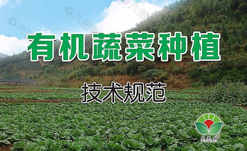 优质农产品，如何进行市场推广，让更多的城市消费者知晓「蔬菜种植推广技巧和方法」 优质农产品，如何进行市场推广，让更多的城市消费者知晓「蔬菜种植推广技巧和方法」 花朵知识