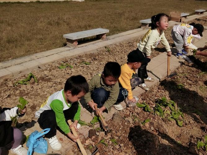 种菜为什么一定要翻耕土壤，用锄头刨一个洞把菜苗栽进去不就完了吗「蔬菜种植小技巧不用土壤可以吗」 种菜为什么一定要翻耕土壤，用锄头刨一个洞把菜苗栽进去不就完了吗「蔬菜种植小技巧不用土壤可以吗」 番茄病虫害防治