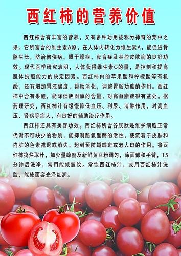番茄如何科学补钙「种植番茄怎么补钙最好」 番茄如何科学补钙「种植番茄怎么补钙最好」 植物种类