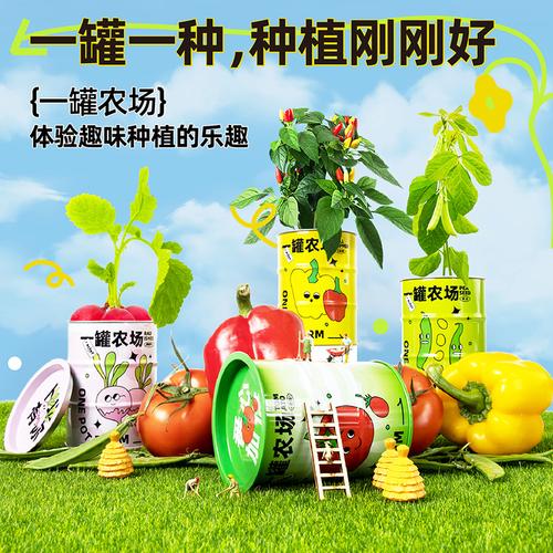五彩樱桃番茄怎么样种植能高产「番茄青色种子怎么种植视频」 五彩樱桃番茄怎么样种植能高产「番茄青色种子怎么种植视频」 番茄种植技巧