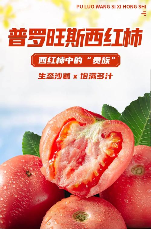 一颗大番茄文案「种植番茄怎么写文案吸引人」 土壤施肥 一颗大番茄文案「种植番茄怎么写文案吸引人」 一颗大番茄文案「种植番茄怎么写文案吸引人」 土壤施肥