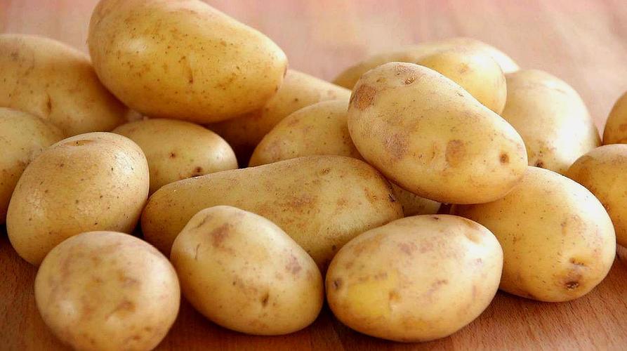阿司匹林对番茄种植有什么好处吗「阳台番茄用土豆怎么种植视频」 阿司匹林对番茄种植有什么好处吗「阳台番茄用土豆怎么种植视频」 土壤施肥