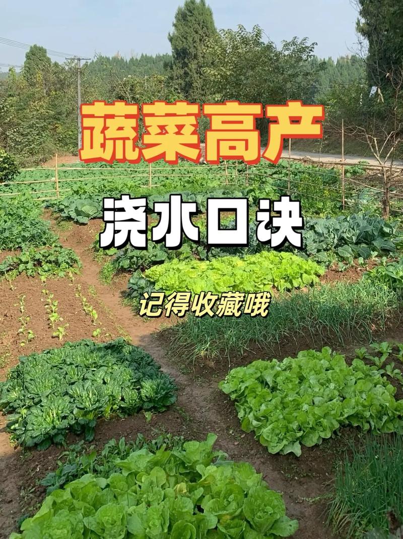 有哪些蔬菜种植时可以不用浇水？怎么做好水分管理「蔬菜种植小技巧不用土吗视频」 有哪些蔬菜种植时可以不用浇水？怎么做好水分管理「蔬菜种植小技巧不用土吗视频」 植物种类