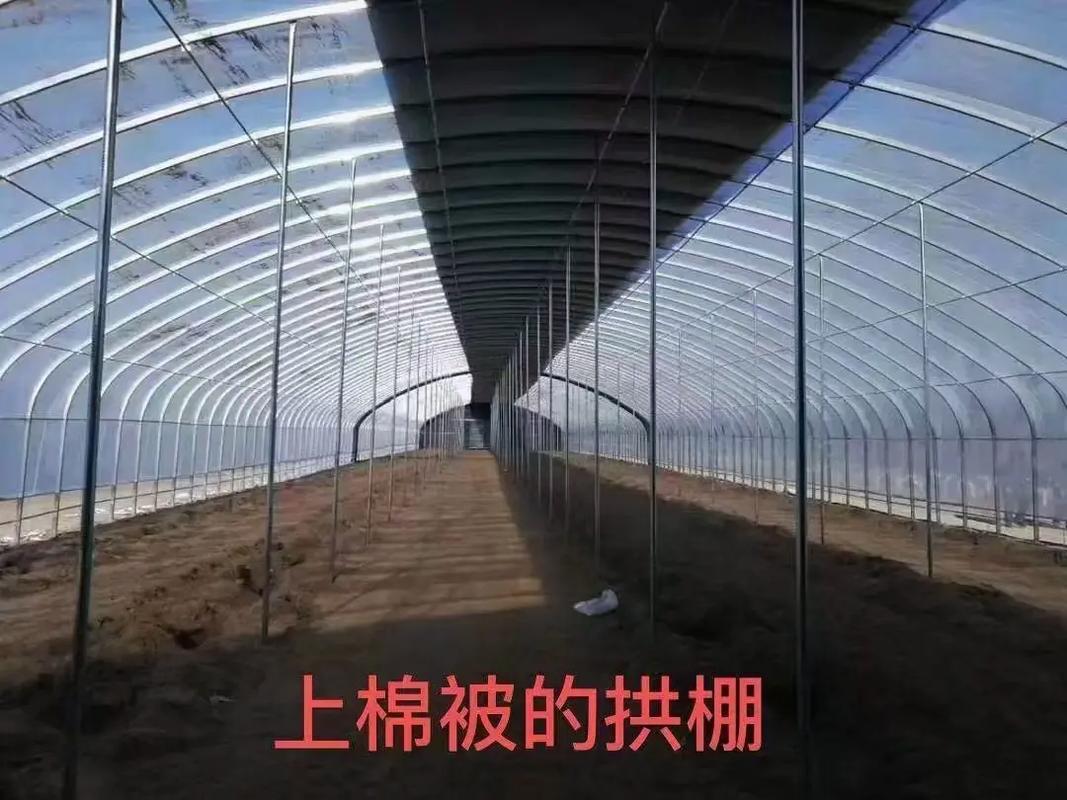蔬菜大棚怎么建造「蔬菜种植技巧 视频讲解大全」 蔬菜大棚怎么建造「蔬菜种植技巧 视频讲解大全」 土壤施肥