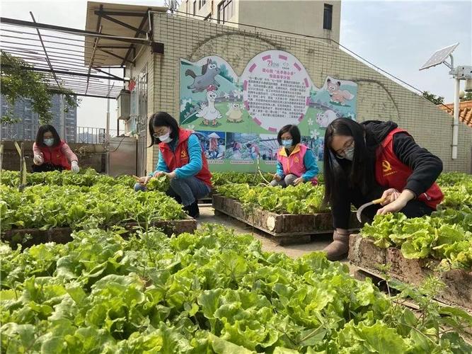 社区蔬菜店怎么引流「蔬菜种植打理技巧图片大全」 社区蔬菜店怎么引流「蔬菜种植打理技巧图片大全」 花朵知识