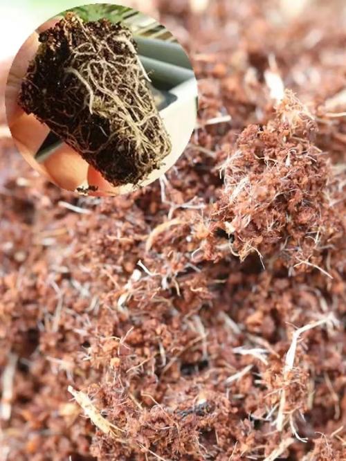番茄定植土壤消毒的方法是什么「种植番茄怎么去掉薄膜呢」 番茄定植土壤消毒的方法是什么「种植番茄怎么去掉薄膜呢」 番茄病虫害防治