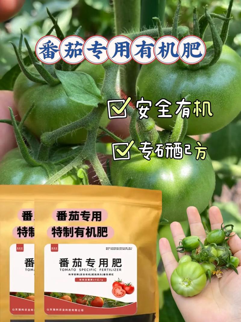 栽植西红柿用啥底肥「番茄种植有机肥怎么放的」 栽植西红柿用啥底肥「番茄种植有机肥怎么放的」 花朵知识